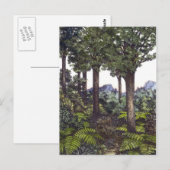 Carte Postale Bush néo-zélandais (Devant / Derrière)