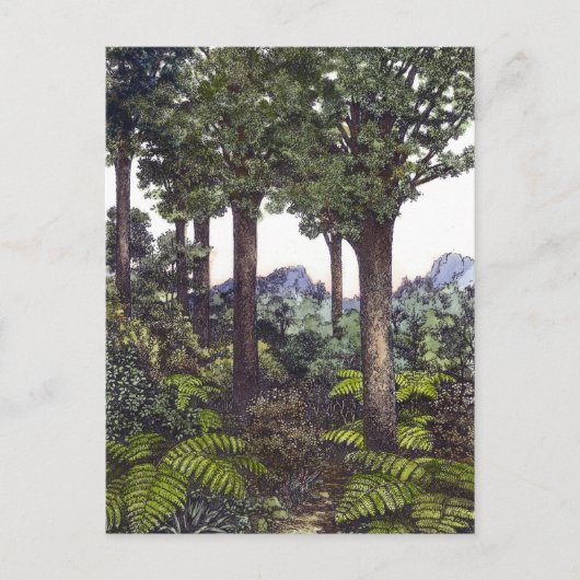 Carte Postale Bush néo-zélandais (Devant)