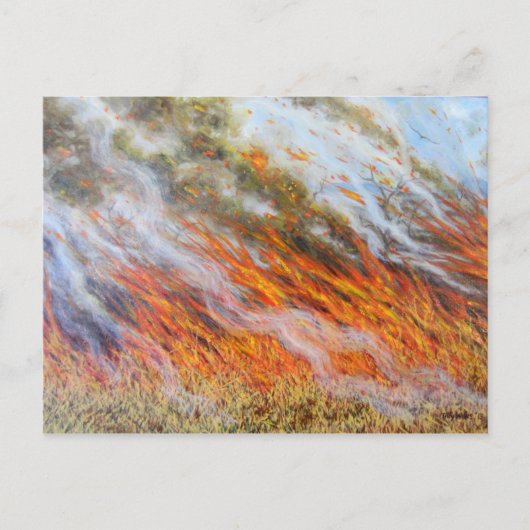 Carte Postale Bushfire Inferno 2014 (Devant)