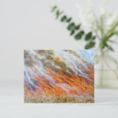 Carte Postale Bushfire Inferno 2014 (Debout devant)