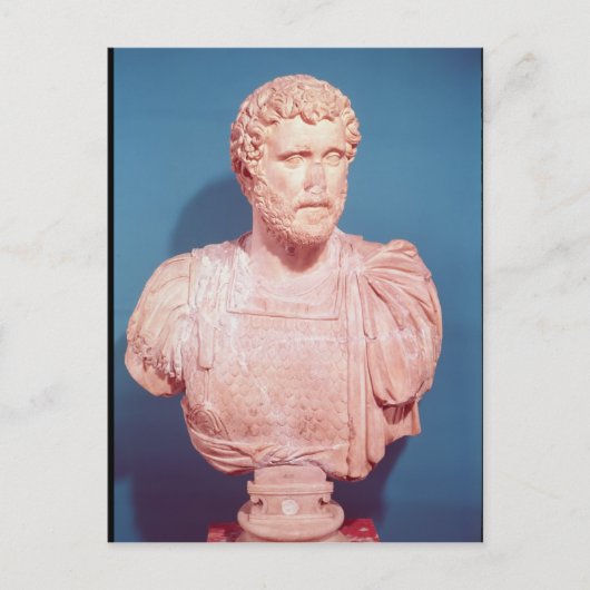 Carte Postale Buste de l'empereur Antoninus Pius (Devant)