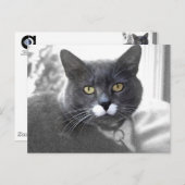 Carte postale Buster (Devant / Derrière)