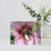 Carte Postale Busy Be Collection Pollen in a Hibiscus  (Debout devant)