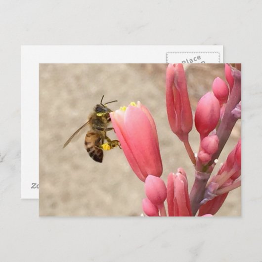 Carte Postale Busy Bee (Devant / Derrière)