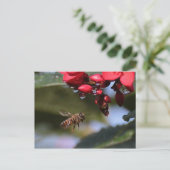 Carte Postale Busy Bee (Debout devant)