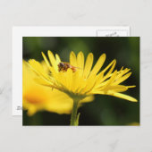 Carte Postale Busy Bee (Devant / Derrière)