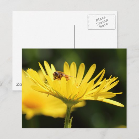 Carte Postale Busy Bee (Devant / Derrière)