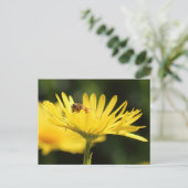 Carte Postale Busy Bee (Debout devant)