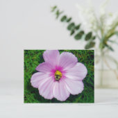 Carte postale Busy Bee (Debout devant)