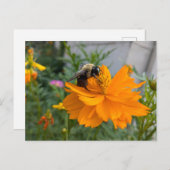 Carte postale Busy Bee - par Cottagevale (Devant / Derrière)