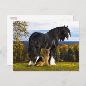 Carte postale "Butch and Blackbird" (Devant / Derrière)