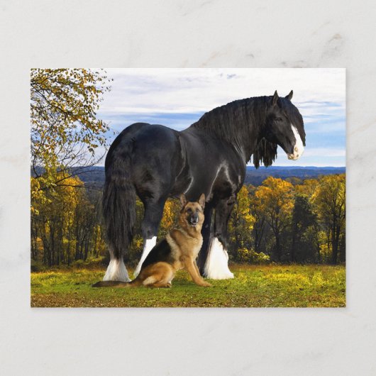 Carte postale "Butch and Blackbird" (Devant)