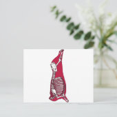 CARTE POSTALE BUTCHER ANATOMY (Debout devant)