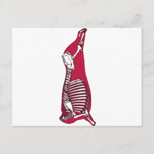 CARTE POSTALE BUTCHER ANATOMY