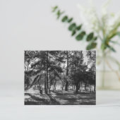 Carte Postale Bute Park en été après-midi. Cardiff Wales. (Debout devant)