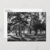 Carte Postale Bute Park en été après-midi. Cardiff Wales. (Devant / Derrière)