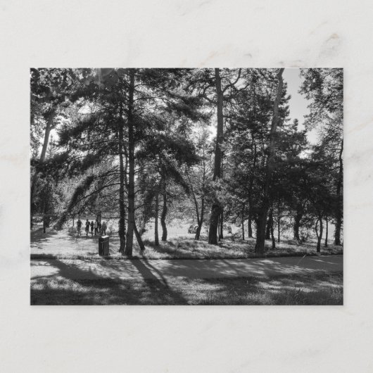 Carte Postale Bute Park en été après-midi. Cardiff Wales. (Devant)