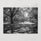 Carte Postale Bute Park en été après-midi. Cardiff Wales. (Devant)