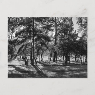 Carte Postale Bute Park par un après-midi d'été. Cardiff Pays de