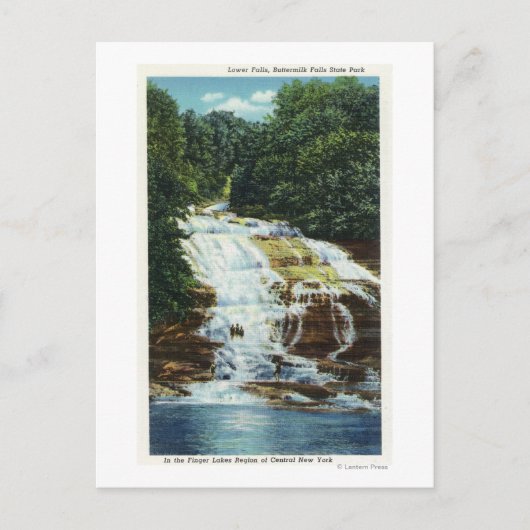 Carte Postale Butmilk Farms State Park Lower Falls View (Devant)