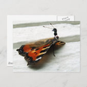 Carte Postale Butteremu (Devant / Derrière)