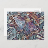 CARTE POSTALE BUTTERFER (Devant / Derrière)