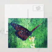 Carte Postale Butterfly (Devant / Derrière)