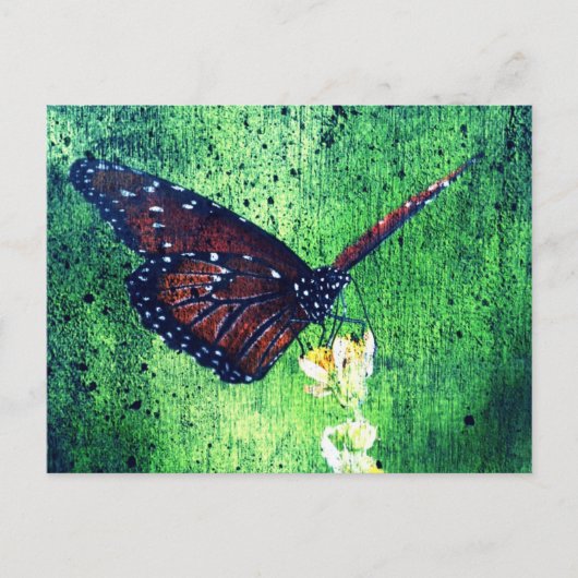 Carte Postale Butterfly (Devant)