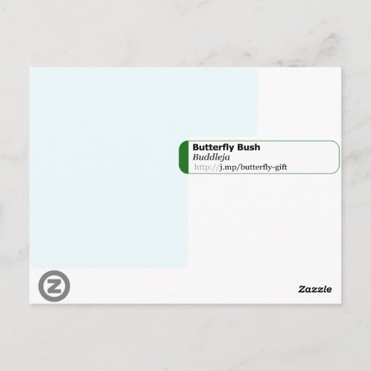 Carte Postale Butterfly Bush Bouddleja Davidii Floral (Dos)
