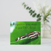 Carte postale Butterfly Dreams (Debout devant)