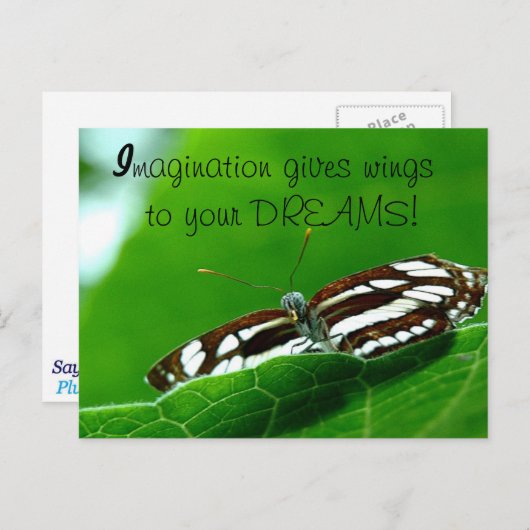 Carte postale Butterfly Dreams (Devant / Derrière)