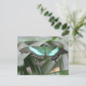 Carte Postale Butterfly Emerald Peacock Swallowtail # 5 (Debout devant)