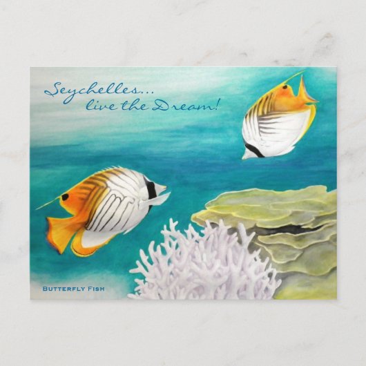 Carte Postale Butterfly fish (Devant)