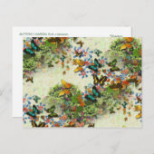 Carte Postale BUTTERFLY GARDEN PC5 Design (Devant / Derrière)