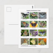 Carte Postale Butterfly identification  (Devant / Derrière)