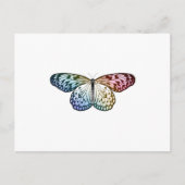 Carte Postale Butterfly Rainbow (Devant)