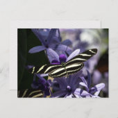 CARTE POSTALE BUTTERFLY WILD LIFE INSECT POSTCROSSING (Devant / Derrière)