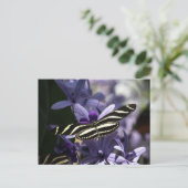CARTE POSTALE BUTTERFLY WILD LIFE INSECT POSTCROSSING (Debout devant)