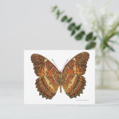 Carte Postale Butterfly with wings (Debout devant)