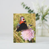 Carte Postale Buttermoose (Debout devant)