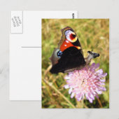 Carte Postale Buttermoose (Devant / Derrière)