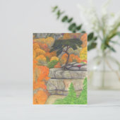 Carte postale Buzzard's Roost at Fall Creek Falls (Debout devant)