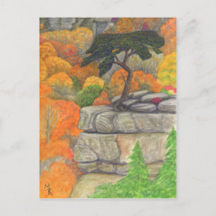 Carte postale Buzzard's Roost at Fall Creek Falls