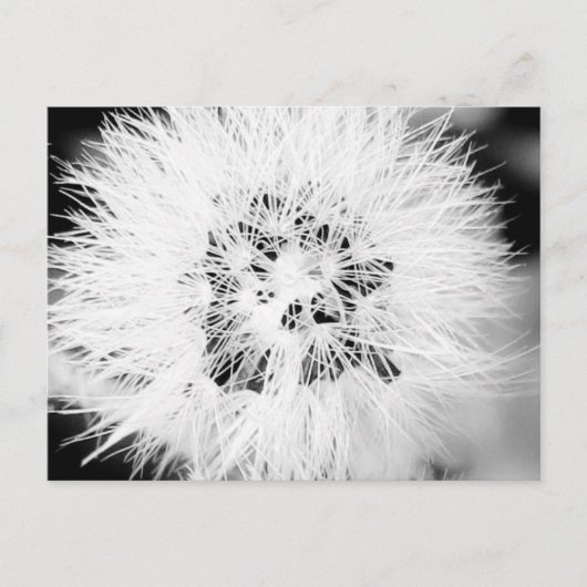 Carte Postale bw * (Devant)