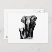 Carte Postale BW Elephant & Baby Elephant (Devant / Derrière)