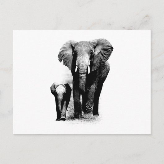 Carte Postale BW Elephant & Baby Elephant (Devant)