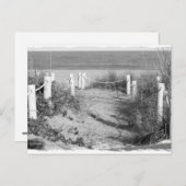 Carte Postale BW Fort Pierce, Floride dune de marche de plage ro (Devant / Derrière)