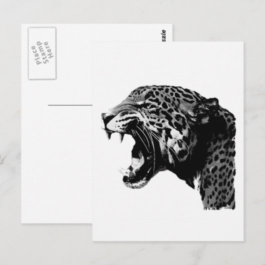 Carte Postale BW Jaguar (Devant / Derrière)