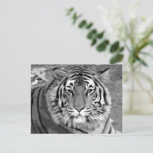 Carte Postale BW Tiger (Debout devant)
