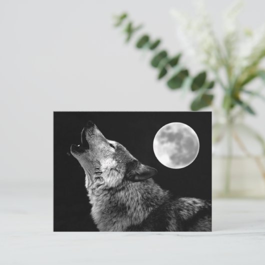 Carte Postale BW Wolf Howling at Moon (Debout devant)